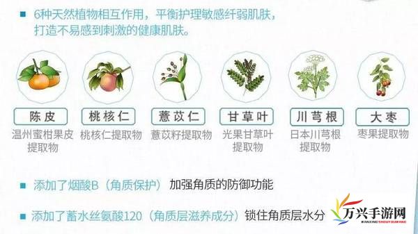 揭秘玖草，探究其神秘的草本植物配方及其对护肤市场的创新影响