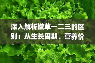 深入解析嫩草一二三的区别：从生长周期、营养价值到适用场景的全面比较