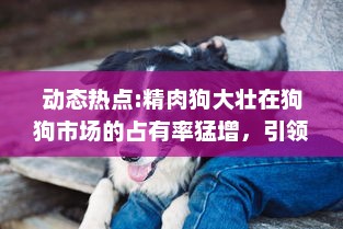 动态热点:精肉狗大壮在狗狗市场的占有率猛增，引领犬类宠物新风潮 v9.9.8下载