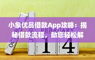 小象优品借款App攻略：揭秘借款流程，助您轻松解决资金难题。安全高效，一键申请，快速放款 v4.2.8下载