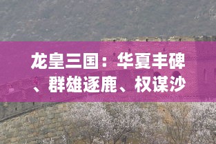 龙皇三国：华夏丰碑、群雄逐鹿、权谋沙场，烽火连天的历史巨献