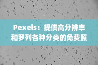 Pexels：提供高分辨率和罗列各种分类的免费照片库，让美学与创意无限可能 v4.6.3下载