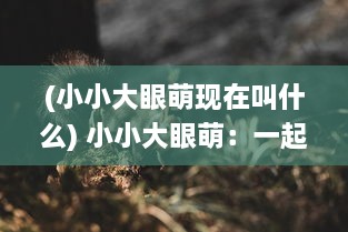 (小小大眼萌现在叫什么) 小小大眼萌：一起探索萌宠世界，感受这份无法抗拒的可爱魔力