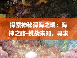 探索神秘深海之境：海神之路-挑战未知，寻求海洋生物王国的奥秘与魅力