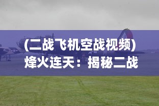 (二战飞机空战视频) 烽火连天：揭秘二战空袭机战中的决定性战役和闪耀的英雄事迹