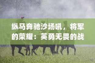 纵马奔驰沙场吼，将军的荣耀：英勇无畏的战争历程与威风典范的人生风采