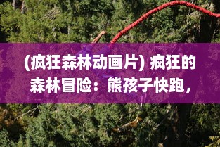 (疯狂森林动画片) 疯狂的森林冒险：熊孩子快跑，躲避危险，寻找安全回家之路