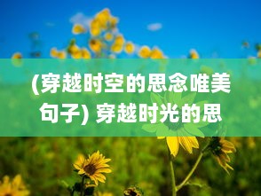 (穿越时空的思念唯美句子) 穿越时光的思绪:一段温暖人心的回忆之旅