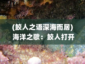 (鲛人之语深海而居) 海洋之歌：鲛人打开生腔，探秘深海的未知乐章