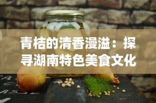 青桔的清香漫溢：探寻湖南特色美食文化中的酸甜浓情 v8.7.5下载