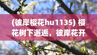 (彼岸樱花hu1135) 樱花树下邂逅，彼岸花开，走过十里桃花最倾城的浪漫情缘