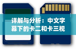 详解与分析：中文字幕下的卡二和卡三视频精彩内容全解析