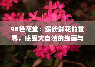 98色花堂：缤纷鲜花的世界，感受大自然的绚丽与艳丽 v3.8.4下载