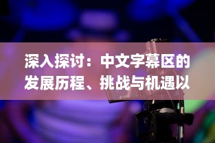 深入探讨：中文字幕区的发展历程、挑战与机遇以及对全球影视产业的影响