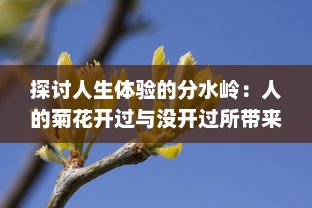 探讨人生体验的分水岭：人的菊花开过与没开过所带来的心理和生理差异研究 v9.9.4下载