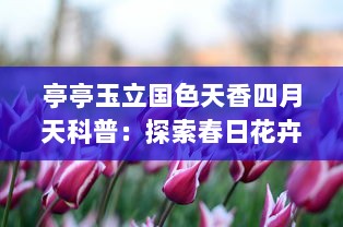 亭亭玉立国色天香四月天科普：探索春日花卉的迷人魅力与生态价值