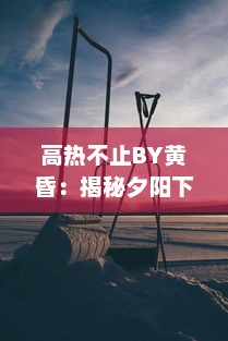 高热不止BY黄昏：揭秘夕阳下的跨界医疗故事，触探生命的热度与无尽希望 v0.2.4下载