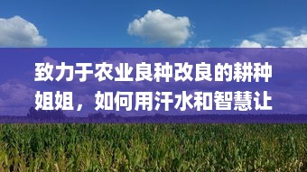 致力于农业良种改良的耕种姐姐，如何用汗水和智慧让家乡的土地更肥沃