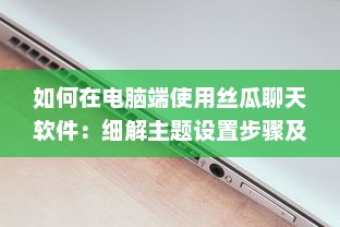 如何在电脑端使用丝瓜聊天软件：细解主题设置步骤及技巧 v9.2.3下载