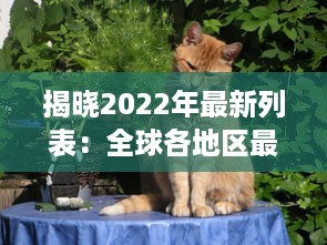 揭晓2022年最新列表：全球各地区最受欢迎的成人猫咪网名一览 v0.4.6下载