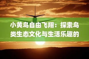 小黄鸟自由飞翔：探索鸟类生态文化与生活乐趣的品质生活之旅 v2.7.1下载