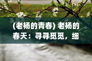 (老杨的青春) 老杨的春天：寻寻觅觅，细嗅人生的暖阳与盛开的希望