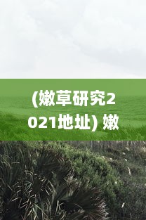 (嫩草研究2021地址) 嫩草91：深入探索草坪维护与美化的专业知识，打造完美绿意空间