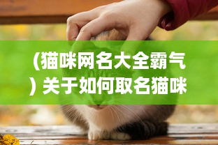 (猫咪网名大全霸气) 关于如何取名猫咪MV最新地域网名的具体方法和创意策略