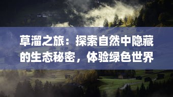 草溜之旅：探索自然中隐藏的生态秘密，体验绿色世界的无尽风光 v7.0.3下载