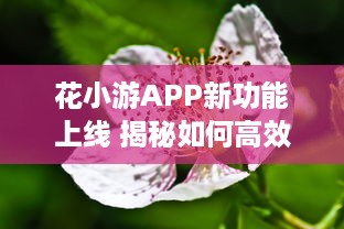 花小游APP新功能上线 揭秘如何高效管理花草，让爱花人士轻松养花。