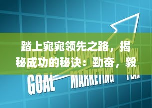 踏上窕窕领先之路，揭秘成功的秘诀：勤奋，毅力与创新驱动力量