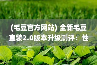 (毛豆官方网站) 全新毛豆直装2.0版本升级测评：性能提升显着，用户体验更优越