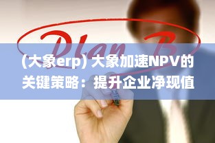 (大象erp) 大象加速NPV的关键策略：提升企业净现值的有效途径与技巧