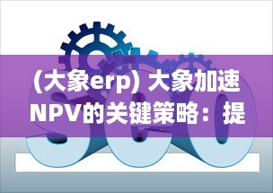 (大象erp) 大象加速NPV的关键策略：提升企业净现值的有效途径与技巧