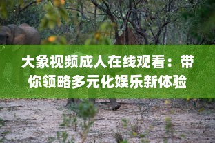 大象视频成人在线观看：带你领略多元化娱乐新体验，探索丰富多彩的成人教育视界