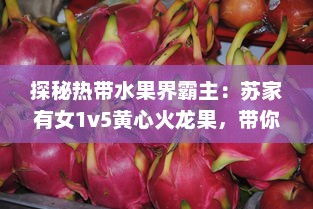 探秘热带水果界霸主：苏家有女1v5黄心火龙果，带你领略独特魅力