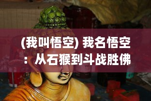 (我叫悟空) 我名悟空：从石猴到斗战胜佛的传奇旅程与成长记事