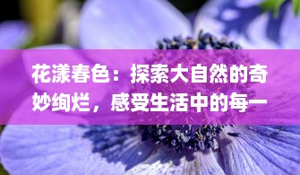 花漾春色：探索大自然的奇妙绚烂，感受生活中的每一抹灿烂色彩 v0.9.2下载