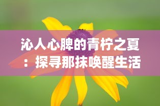 沁人心脾的青柠之夏：探寻那抹唤醒生活色彩的独特清新魅力 v6.8.5下载