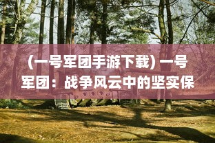 (一号军团手游下载) 一号军团：战争风云中的坚实保障，历史长河中的勇敢角色