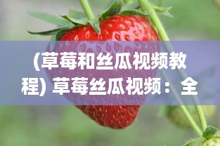 (草莓和丝瓜视频教程) 草莓丝瓜视频：全面解析草莓丝瓜的种植技术与实用养护知识