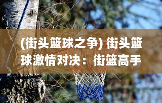 (街头篮球之争) 街头篮球激情对决：街篮高手的挑战、成长与梦想之路