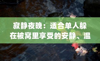 寂静夜晚：适合单人躲在被窝里享受的安静、温暖和自我思考的深夜好书推荐 v8.5.8下载