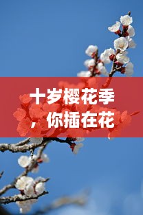 十岁樱花季，你插在花瓣上的那首深情歌曲是什么：一段青春记忆的音符流转 v8.2.7下载