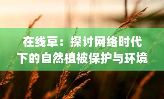 在线草：探讨网络时代下的自然植被保护与环境可持续发展策略 v8.3.2下载