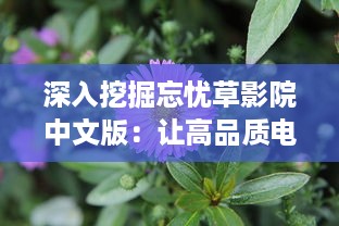 深入挖掘忘忧草影院中文版：让高品质电影文化与国人心灵深处的情感触动相融合