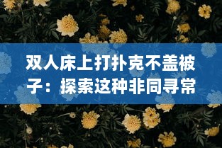 双人床上打扑克不盖被子：探索这种非同寻常的生活模式背后的深层社会文化含义