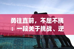 勇往直前，不屈不挠：一段关于挑战、逆境与胜利的篮球夺冠之路