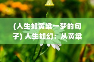 (人生如黄粱一梦的句子) 人生如幻：从黄粱一梦到现实苏醒的心灵探索