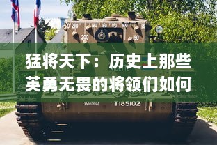 猛将天下：历史上那些英勇无畏的将领们如何在战争中改写世界格局